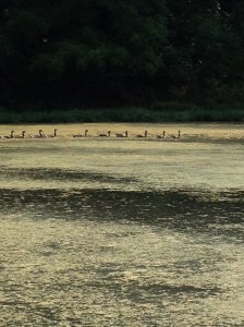 June 2012 iphone 074